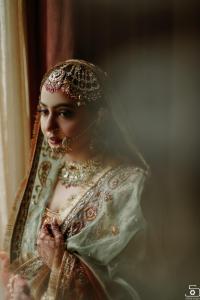 Photos by Safarsaga Films